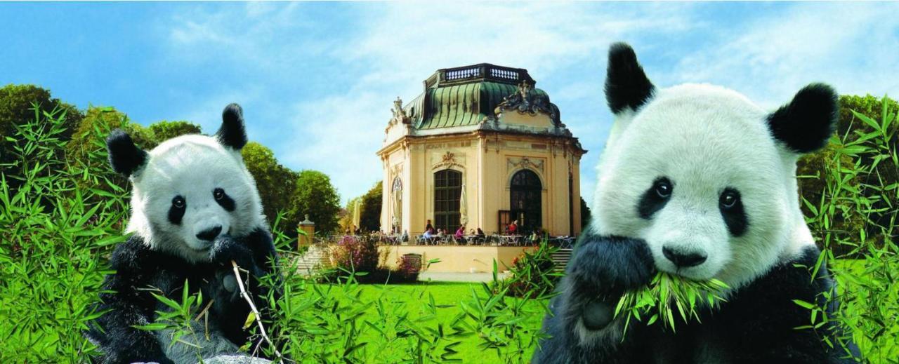 Between Schoenbrunn&the Center. Apt. 40 * Wenen